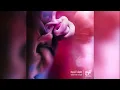 El Morabba3 - El Bath El Haii