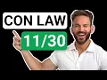 Constitutional Law Individual Rights State Action Requirement