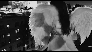 اغنيه ضمني ضمني بطيئ 