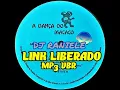 Download Lagu Mix LP A Dança Do Macaco 1996 By RANIELE DJ