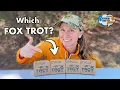 28 Gauge Fox Trot Ammo Pattern Test - Which TSS Load is the BEST