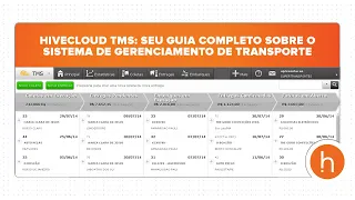 Hivecloud TMS: Seu guia completo sobre o Sistema de Gerenciamento de Transporte - Hivecloud