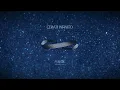 Gustavo Cerati - Puente (Lyric Video)