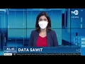 Download Lagu KLIK INDONESIA PETANG “Data Sawit”