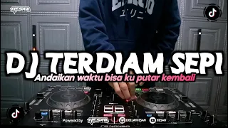 Download DJ ANDAIKAN WAKTU BISA KUPUTAR KEMBALI - TERDIAM SEPI VIRAL TIKTOK (HESAN) MP3