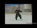 Download Lagu Real Chen Tai Chi Cannon Fist by Chen Bing - Xinjia Erlu - New Frame Second Road