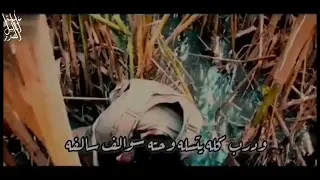 وين احصل هيج واحد علي جلوب ابو حسن الحمراني ينجد احد افراده وهو مصاب في المعركة دندنها