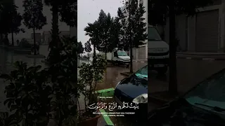 آية قرآنية عن المطر الغيث الشتاء 