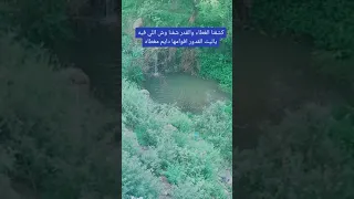 كشفنا الغطاء والقدر شفنا وش اللي فيه 