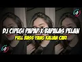 Download Lagu DJ CIPEGI PAPAP X BALAPAS PELAN PELAN FULL BASS VIRAL TIKTOK