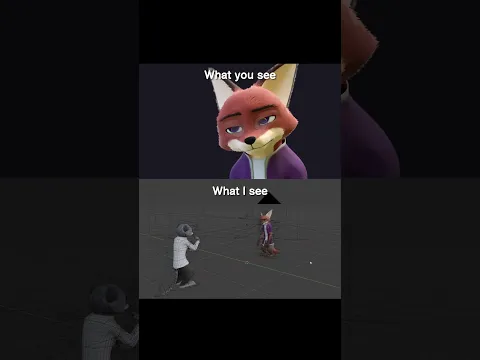 What you see vs What I see