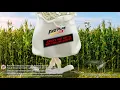 NJ Lottery Fast Play Progressive Jack Dancing