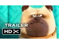 The Secret Life of Pets Official Teaser Trailer #1 (2016) - Jenny Slate, Kevin Hart Movie HD