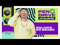 Download Lagu Japãozin - Solinho do Brabo