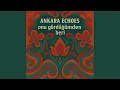Ankara Echoes - onu gördüğümden beri