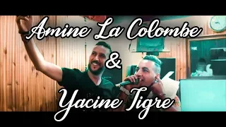 Yacine Tigre 2018 Mahada Mahada Avec Amine La Colombe ماهاذا ماهاذا  Yacine Tigre 2018 Mahada Mahada Avec Amine La Colombe ماهاذا ماهاذا