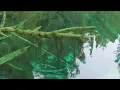 Kitch Iti Kipi U P vlog 3