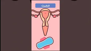 الدورة الشهرية في اقل من دقيقتين احياء تالته ثانوي ٢٠٢٦ مصر  الدورة الشهرية في اقل من دقيقتين احياء تالته ثانوي ٢٠٢٦ مصر