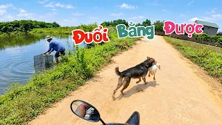 Đuổi Theo Con Chó Bắt Vịt - Quyết Dậy Cho Bài Học Và Chế Dọ Bắt Cá Siêu To / Quế Nghịch