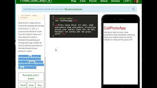 Use CSS Selectors to Style Elements FreeCodeCamp