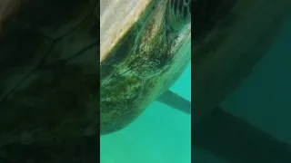 Episode 74 out this Friday