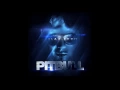 Download Lagu Pitbull Feat. Red Foo Vein \u0026 David Rush - Took My Love