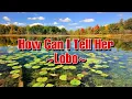 Download Lagu HOW CAN I TELL HER ~Lobo~Lyrics