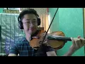 Circles Post Malone - Violin Cover 2021