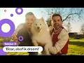Download Lagu Film van Rutger, Thomas en Paco in première