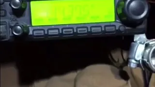 طريقة عمل نغمه عند ضغط الريشه 