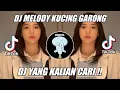 Download Lagu DJ ANJAY AKU BOHONG ARAK YANG BOHONG MELODY KUCING GARONG VIRAL TIK TOK