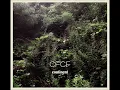 CFCF - Summerlong