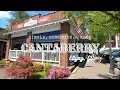 How Good is the Food at Cantaberry Restaurant Ellijay GA