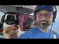 Virginia pilot killed in crash on dog rescue mission NBC4 Washington