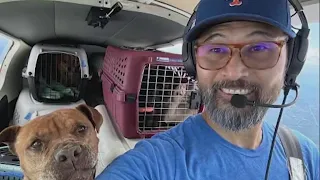 Virginia pilot killed in crash on dog rescue mission NBC4 Washington
