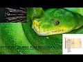 PYTHON PART 1 VARIABLES PRINT LET S START CODING
