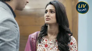 الموسم 103 حلقات كامله قليل من ألوان الحب هذان زوجان مميزان للغاية في العالم 