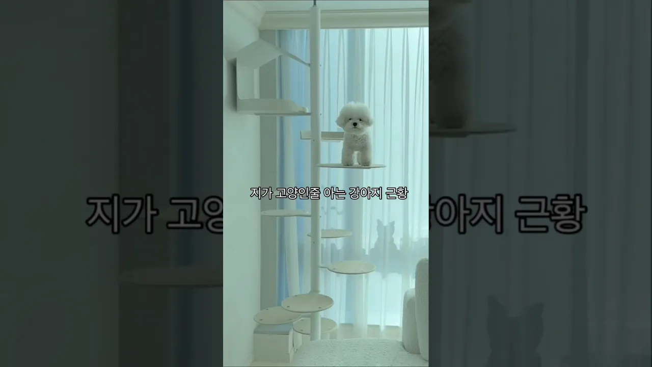 우리집 간 큰 냥아지🐶