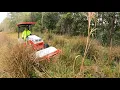 Overgrown SWAMP With RATS TRASH Mowed For Free Neighbor Complained Ventrac 4520 Answered