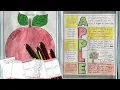 Apple Day Johnny Appleseed Writing Packet Fall Literacy Activities Sub Plan Worksheets