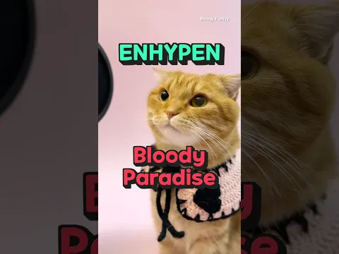 베니의 ENHYPEN (엔하이픈) 'Bloody Paradise' cover by Benny the Cat #shorts
