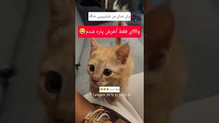 خیلیییییی با نمک و بامزه است این خرچه                 کلیپ  اكسبلور دندنها