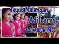 Download Lagu TAYUB ADI LARAS MALANGAN FULL ALBUM