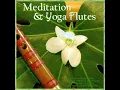 Exploring The Soul (11 Minutes of Zen Flute & Nature Sounds)