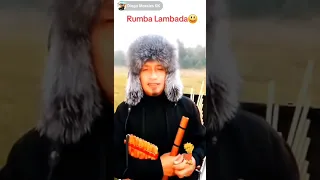                     دندنها