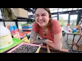 Gambling with Planting lot of garden information VLOG