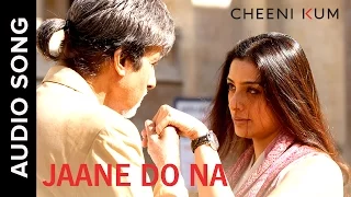 jaane do na full audio song ilaiyaraaja shreya ghoshal cheeni kum