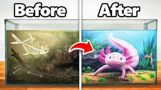i transformed an abandoned axolotl s home
