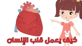 جسم الإنسان القلب فيديوهات تعليمية للأطفال 