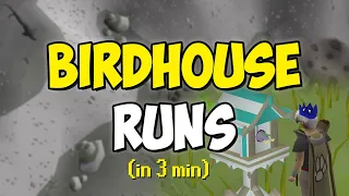 Birdhouse Runs in 3 minutes Quick Guide